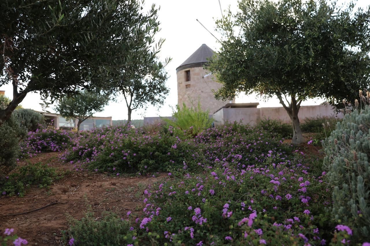 The Windmill Resort Mitáta Kültér fotó